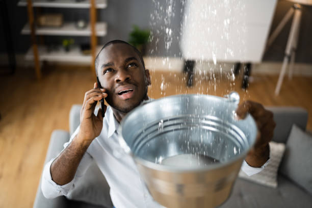 Best Carpet water damage restoration  in St Clairsville, OH
