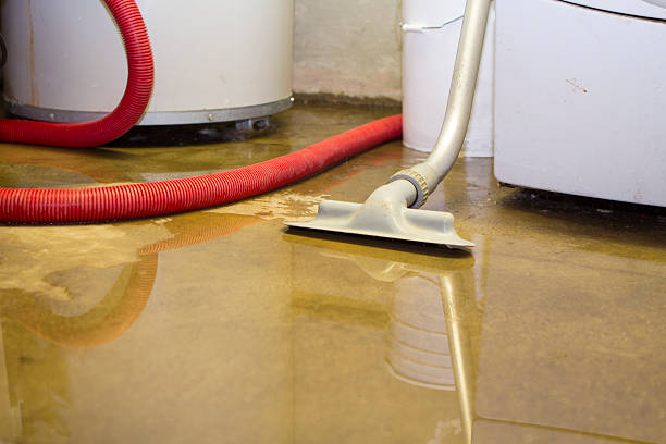 Trusted St Clairsville, OH Water damage restoration Experts