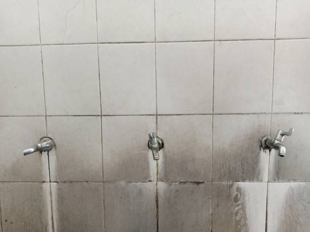 Best Water damage restoration near me  in St Clairsville, OH