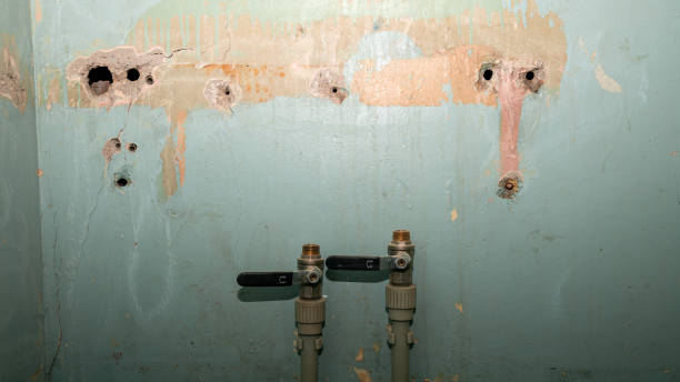 Best Water damage restoration cost  in St Clairsville, OH
