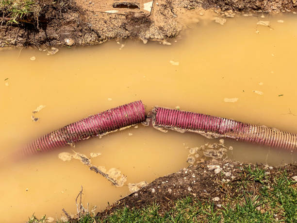 Best Flood restoration services  in St Clairsville, OH